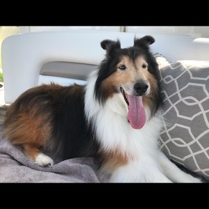 Meet your Posher, Sara